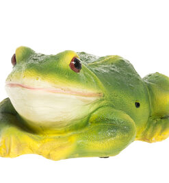 SAMMAKKO LIIKESENSORILLA 299472