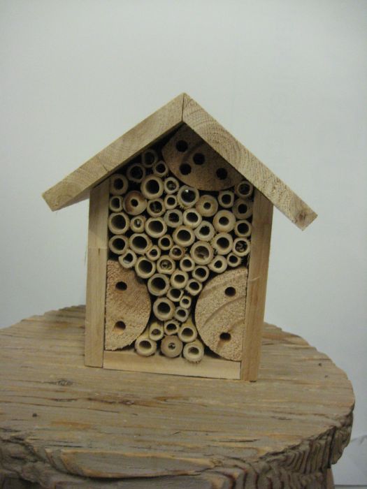 HYÖNTEISHOTELLI Oiva 20 cm