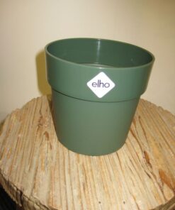 RUUKKU B.for original 22cm vihreä