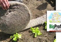 ETANAESTE BioProffa 5m x 10cm harmaa