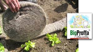 ETANAESTE BioProffa 5m x 10cm harmaa