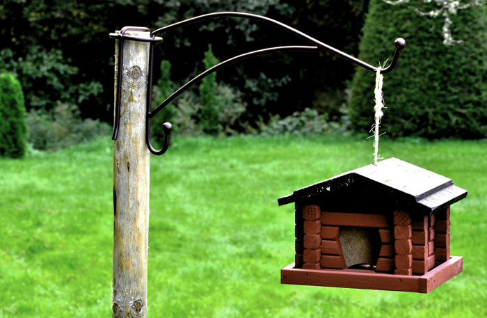 AMPPELIKOUKKU tolpan päähän 1-sakara - Image 2