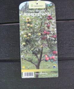 PERHEOMENAPUU Malus domestica