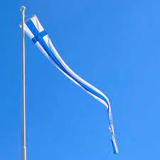 Isännänviiri siniristiviiri 10  75188