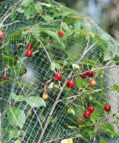 HEDELMÄPUUVERKKO 4x10m