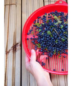 MARJANPUHDISTAJA  Q35cm 198592