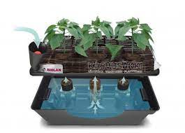 KASTELUALLAS kasvusäkeille Biolan