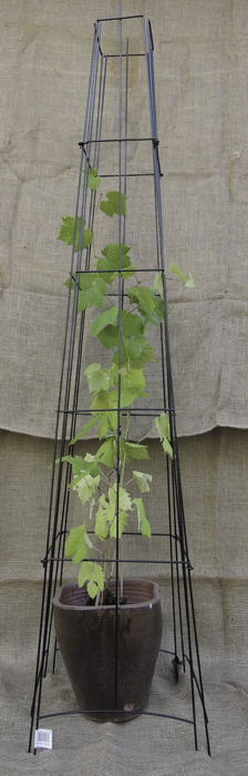 OBELISKI musta 4-kanttinen 200x40cm