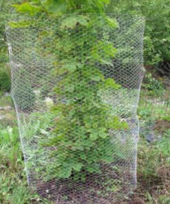 JÄNISVERKKO 1,2x10m