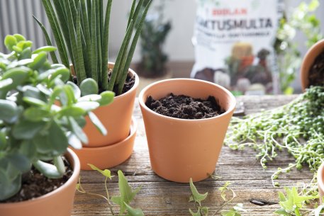 KAKTUSMULTA 5 ltr Biolan - Image 2