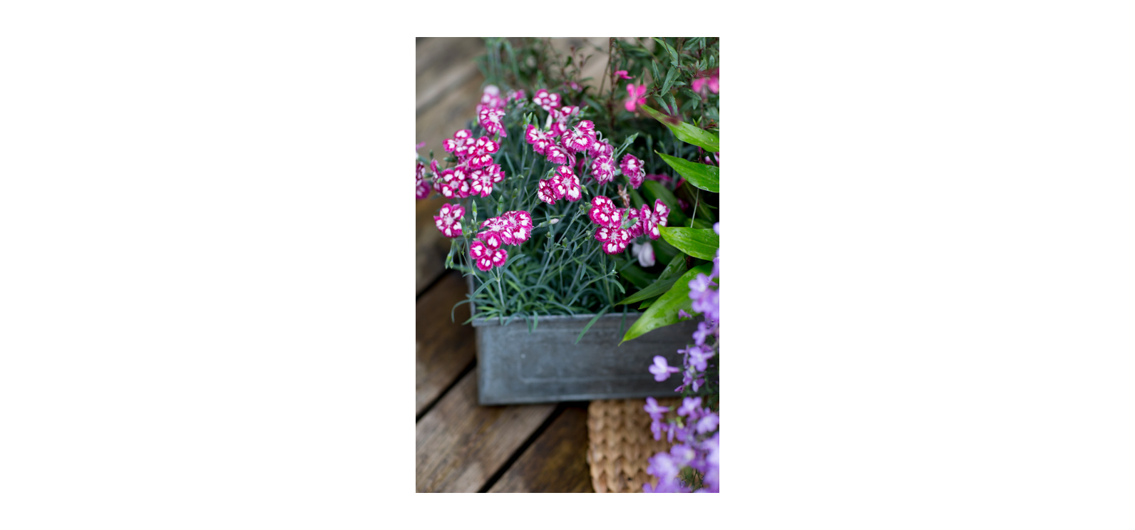 KESÄKUKKAMULTA 30 ltr Kekkilä - Image 2