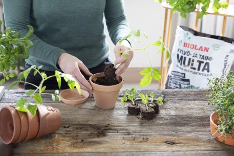 KYLVÖ- JA TAIMIMULTA 24 ltr Biolan