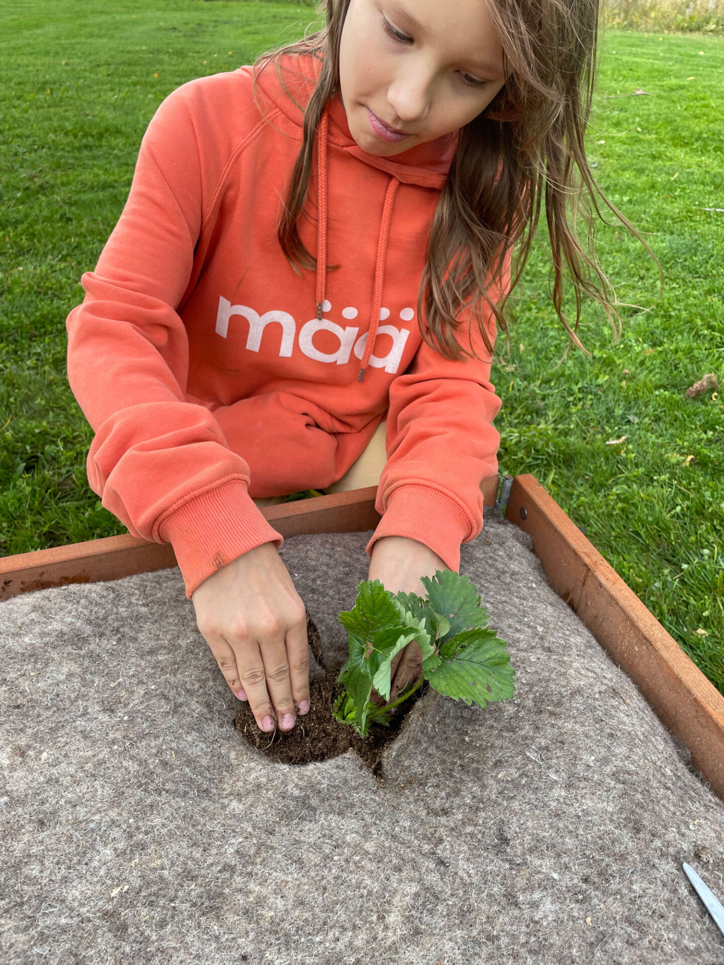 KASVIMAAN PEITE Mää 1x2 m - Image 2