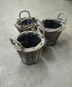 ROTTINKIKORI Maxime 16 cm