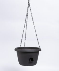 AMPPELI Siesta Q30cm