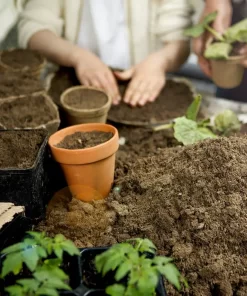 TAIMIMULTA  30 ltr Kekkilä