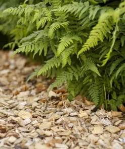 LEHTIPUUKATE 45 ltr Kekkilä TARJOUSTUOTE