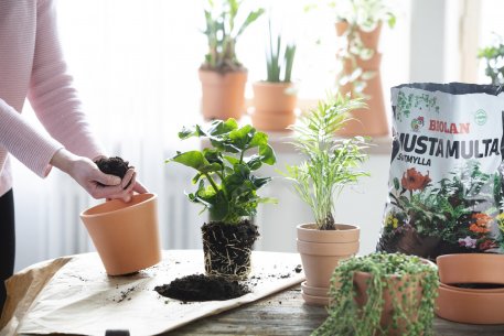 MUSTA MULTA 24 ltr sisäkukille Biolan