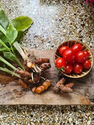 KURKUMA juurakko 6 kpl/pss