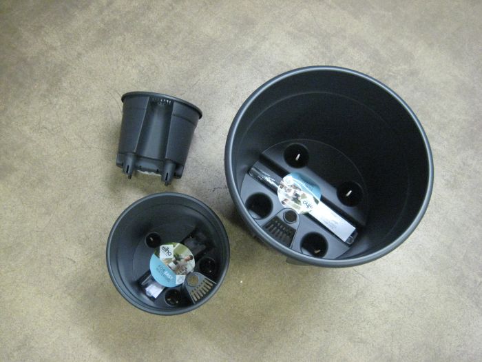 ALTAKASTELUSISUS ruukkuun 17cm