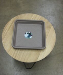 ALUSLAUTANEN 20cm NELIÖ taube