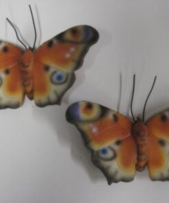 KORISTETIKKU Perhonen 37000554 neitoperhonen