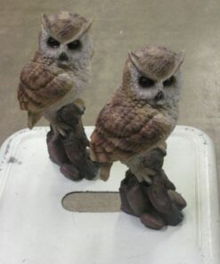 PÖLLÖ kannolla 37000207 sarvipöllö