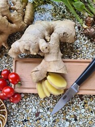 INKIVÄÄRI 6 kpl/pss 79003