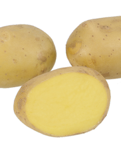 SIEMENPERUNA Lady Felicia 5 kg