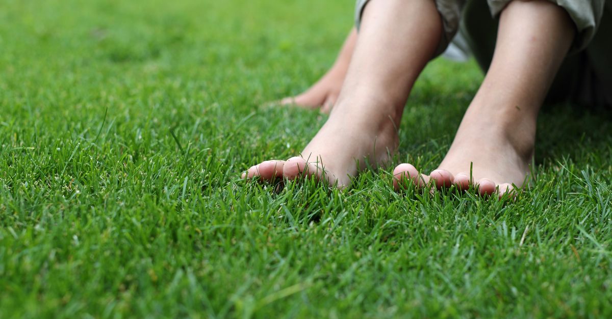 OLONURMIKKO siemenseos GreenCare 8 kg - Image 2