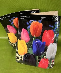 Tulppaani mix